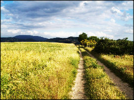 Ca' Mazzetto