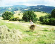 Panorama